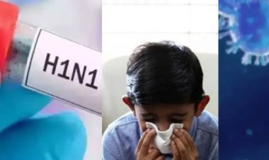 रायपुर में स्वाइन फ्लू का बढ़ा खतरा, 24 घंटे में 12 नए मरीज मिले; प्रदेश में आंकड़ा 205 पहुंचा