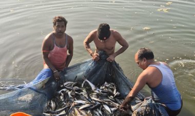 सेवा_ संकल्प_ अभियान  मत्स्य पालन से संवरी गांधीराम की ज़िंदगी