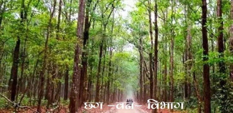 वन विभाग में 10 वर्ष से अधिक पदस्थ 966 तृतीय और 2,664 चतुर्थ श्रेणी के कर्मी होंगे नियमित