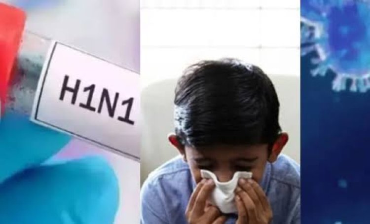 रायपुर में स्वाइन फ्लू का बढ़ा खतरा, 24 घंटे में 12 नए मरीज मिले; प्रदेश में आंकड़ा 205 पहुंचा