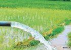 छत्तीसगढ़ में सिंचाई और विकास को बढ़ावा - जशपुर जिले में मैनी एनीकट निर्माण के लिए 70.99 करोड़ रुपये स्वीकृत