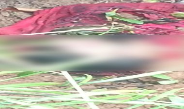 CG : दो दिन से लापता शख्स का खेत में मिला कटा हुआ सिर, इलाके में मचा हड़कंप