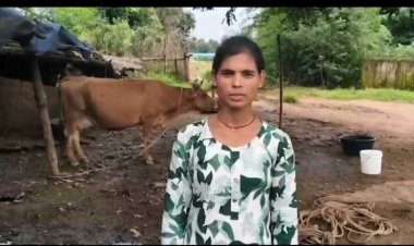 डेयरी व्यवसाय से संध्या बनीं आत्मनिर्भर, दूध की बिक्री से हर महीने हो रही 15 हजार रुपये की बचत