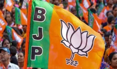 ब्रेकिंग : जनजातीय गौरव दिवस के लिए भाजपा ने की पदाधिकारियों की नियुक्ति, देखें लिस्ट…