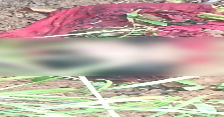CG : दो दिन से लापता शख्स का खेत में मिला कटा हुआ सिर, इलाके में मचा हड़कंप